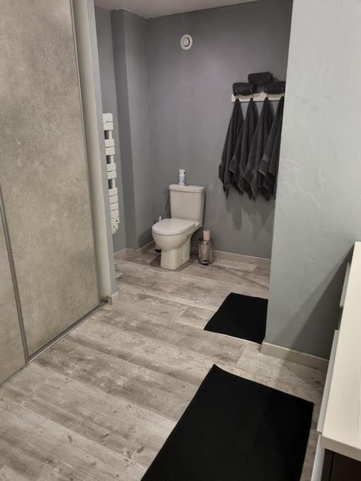 Grand Appartement Pres De La Cathedrale De Кимпер Екстериор снимка